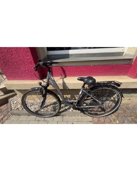 Raymon Citray 1.0 *29 Zoll, Lichtanlage Nabendynamo, Nexus Nabe, V Brake