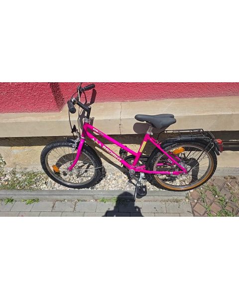 Radiant RCM 20.3 *20 Zoll, Rücktritt Bremse , Sax  Nabenschaltung , V Brake